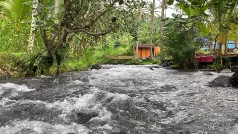 The river flows between the shady trees. Nice illustration for nature concept Video stock 218250326
