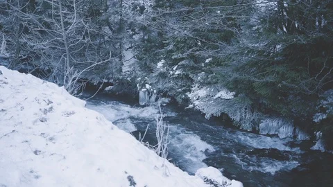 A river flows, between a snow covered road and a forest. Video stock 126724213