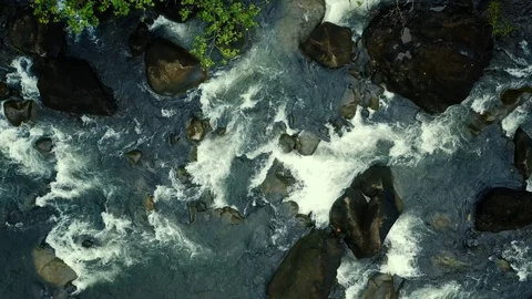 River flows between stones and vegetation of the rainforest in Papenoo. Beautifu Video stock 124049927