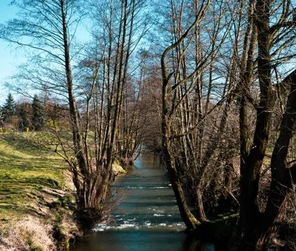 The river flows between trees, meadow, spring, nature, spring river. Stock Photos