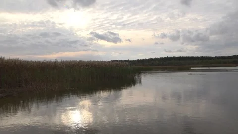 The river flows between a wooded shore and a sandy beach under a gray cloudy sky Stock Footage 123964508