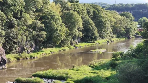 River flows calmly beneath a sturdy bridge Stock Footage 340894399