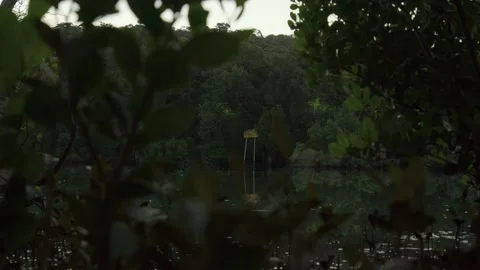 A river flows calmly as a sign warns Video stock 136824745