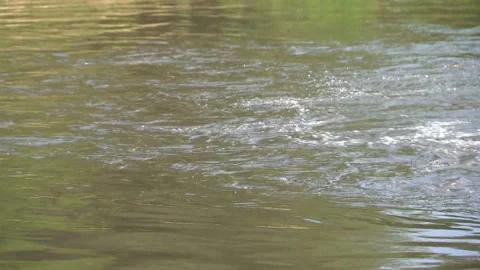 In the river flows dirty water Video stock 92552121