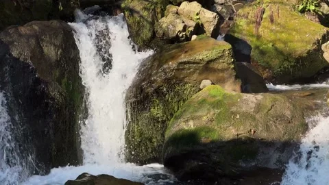 The river flows down and beats against the stones. Live time. Stock Footage 231365549