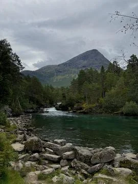 The river flows down the mountain among the forest Stock Photos