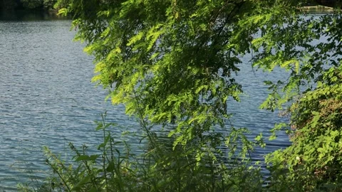 River that Flows Endlessly Stock Footage 161816979