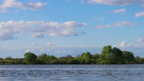 The river flows in a fast stream with the blue sky, and trees on the bank in the Stock Footage 229973925