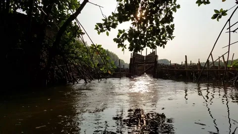 River flows Vídeos de archivo 220338180