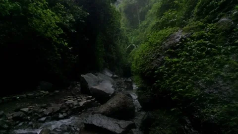 River flows Video stock 221176123