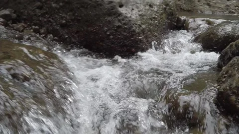 The river flows Stock Footage 239714381