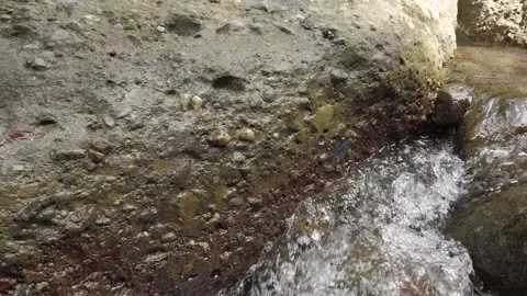 The river flows Stock Footage 239714524