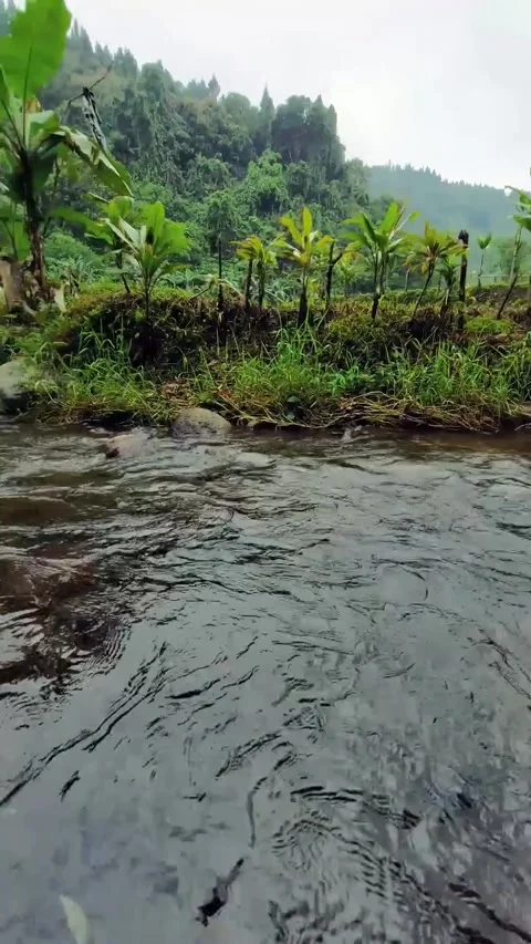 The river flows Stock Footage 307265661