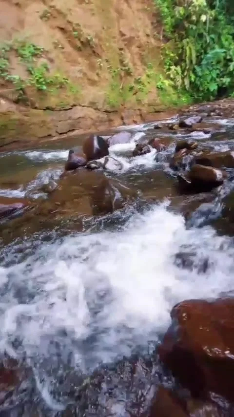 The river flows Stock Footage 307468713