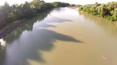 The river flows in the forest 1 库存影片 68568454