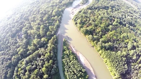 The river flows in the forest 2 库存影片 68566943