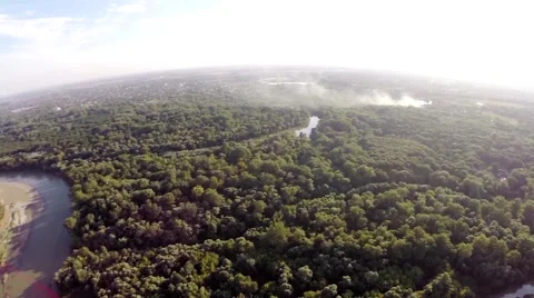 The river flows in the forest 3 库存影片 68568266