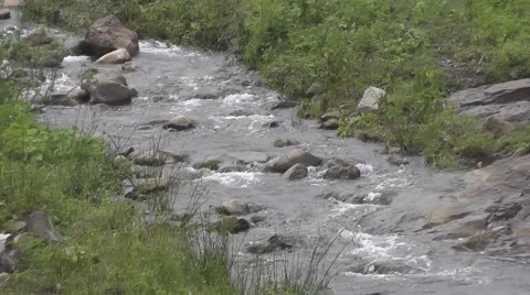 River Flows in Forest Camera Zoom Out Nature Footage Stock Footage