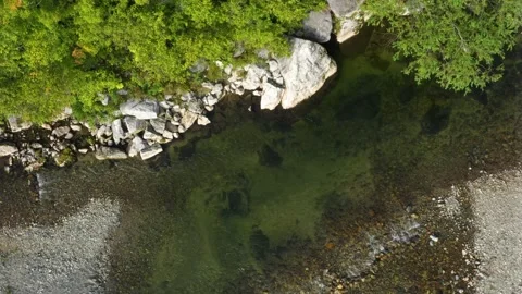 The river flows in the forest. Stock Footage 165527353