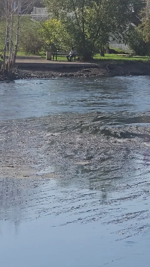 River flows gently past leafy trees Video stock 347671773