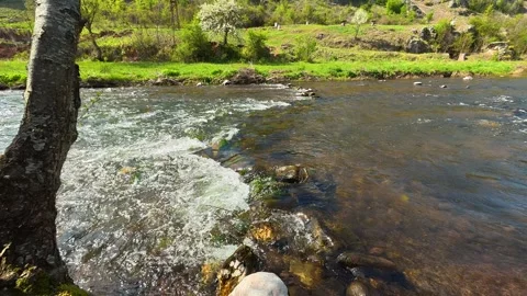 River flows gently through green valley. Balkan, Eastern Europe, POV Video stock 333590111