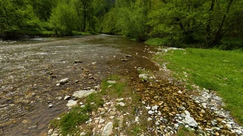 River flows gently through a green, rocky landscape. Gradac River, Serbia Stock Footage 335073496