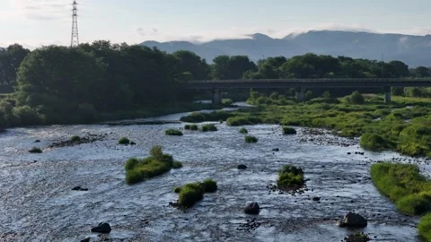 River flows gently through green, rocky bed Stock Footage 340888425
