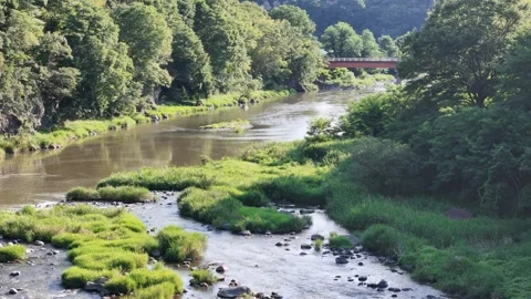 River flows gently through green, rocky banks Stock Footage 340900134