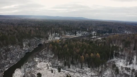 A river flows in a green forest valley Видео 148531740