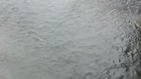 The river flows with a low current Stock Footage 246428812