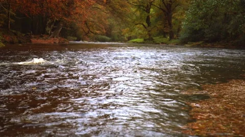 A river flows in the mountains Stock Footage 56520335