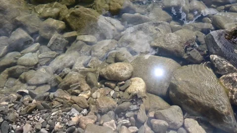 The river flows in nature. A clean mountain river. Stock Footage 299928920