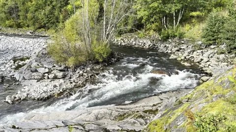 The river flows over rocks and runs near the autum Stock Footage 318371433