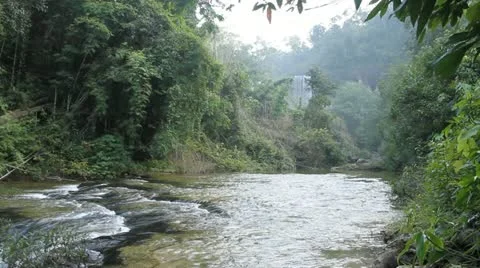 A river flows over rocks in this beautiful scene Stock Footage 22342216