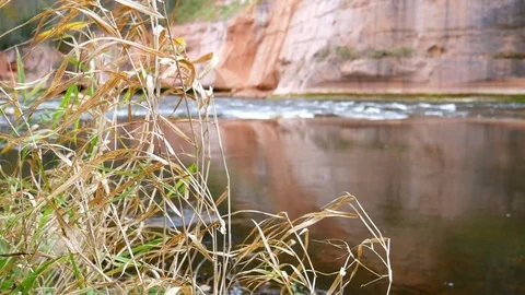 A river flows over rocks in this beautiful scene. 動画素材 71122621