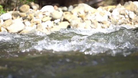 A river flows over rocks in this beautiful scene Stock-Footage 73648472
