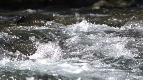 A river flows over rocks in this beautiful scene Video stock 73648493