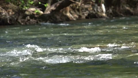 A river flows over rocks in this beautiful scene Stock Footage 73648608