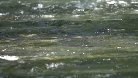 A river flows over rocks in this beautiful scene Vidéo 73648616