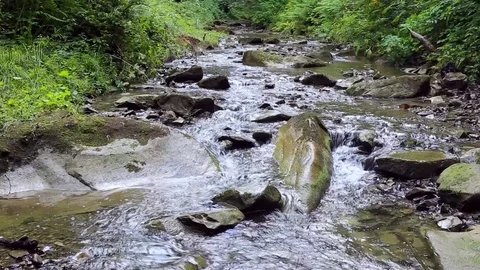 A river flows over rocks in this beautiful scene in forest mountains. Stock Footage 78774653