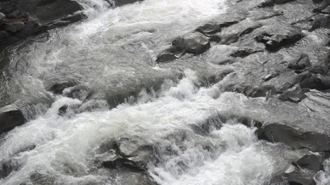 A river flows over rocks in this beautiful scene Stock Footage 97822864