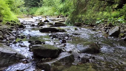 A river flows over rocks in this beautiful scene in forest mountains. Video stock 106722680