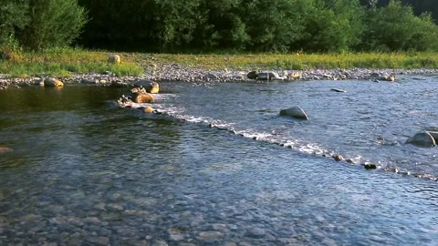 A river flows over rocks in this beautiful scene in forest mountains. Stock Footage 106727910