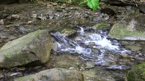 A river flows over rocks in this beautiful scene in forest mountains. Video stock 106732057