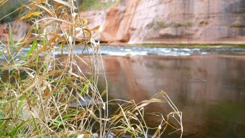 A river flows over rocks in this beautiful scene. Stock Photos