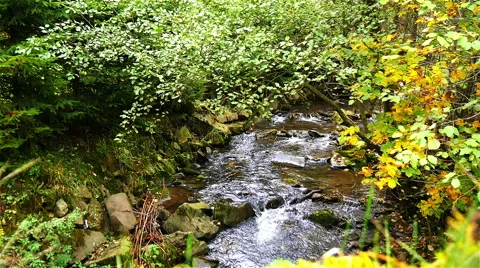 A river flows over rocks Stock Footage 56216224