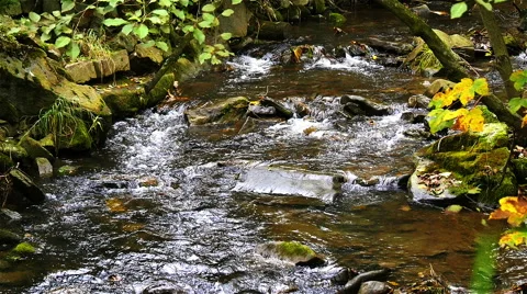 A river flows over rocks Stock Footage 56216421