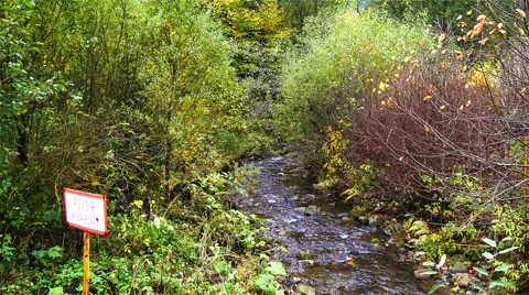 A river flows over rocks Stock Footage 56216954