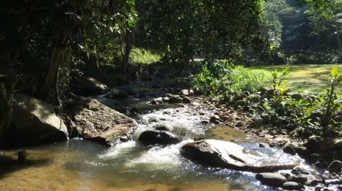 River Flows Over Rocks In The Forest Stock Footage 45126534