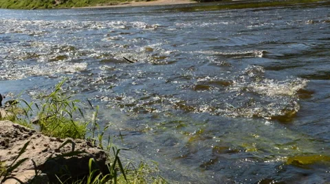 A river flows over rocks in the forest. Stock Footage 52076260